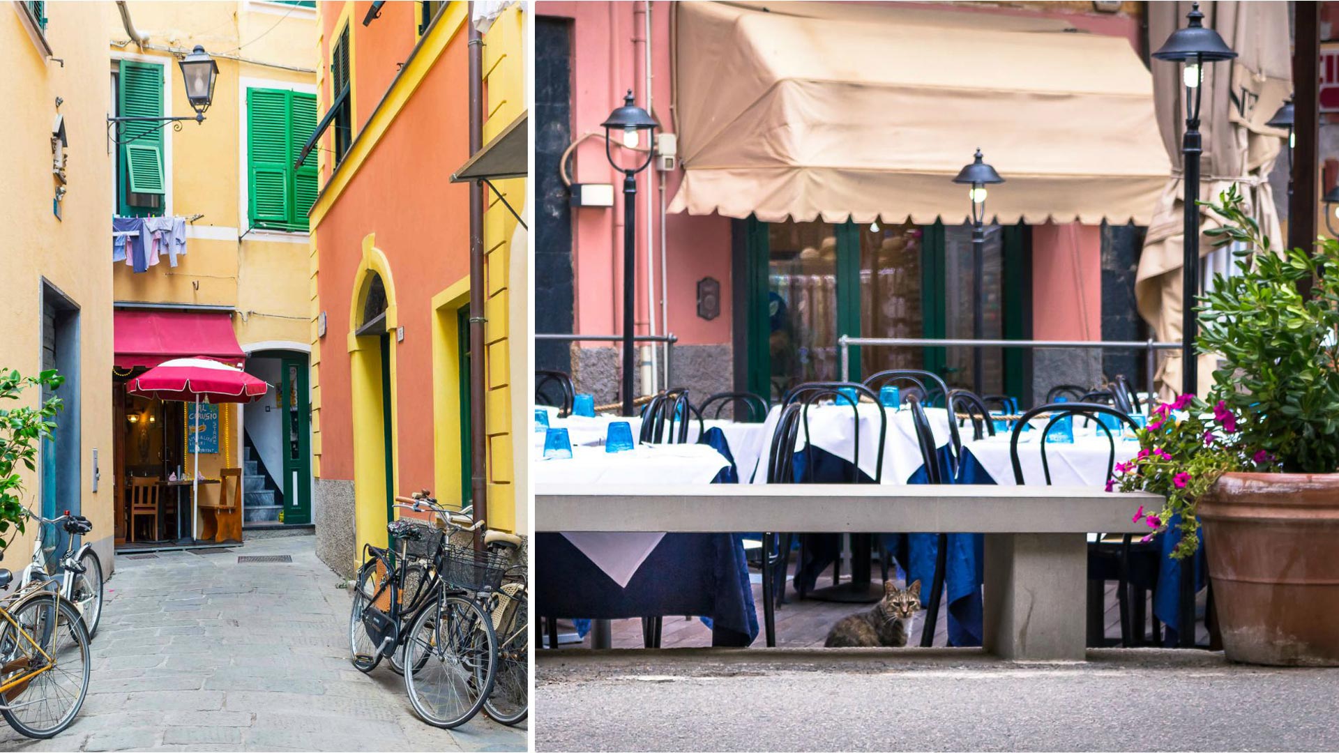 Monterosso-al-Mare-via-del-paese-Gatto Monterosso-al-Mare-via-del-paese-Gatto